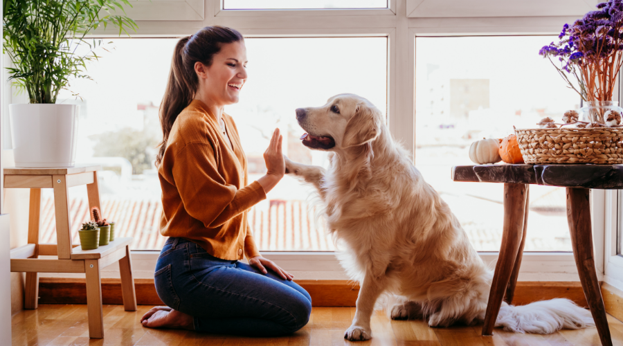 Smiling woman high-fives her golden retriever in a cozy home, celebrating peace of mind after getting mortgage insurance through Civic’s trusted partner, TruStage.