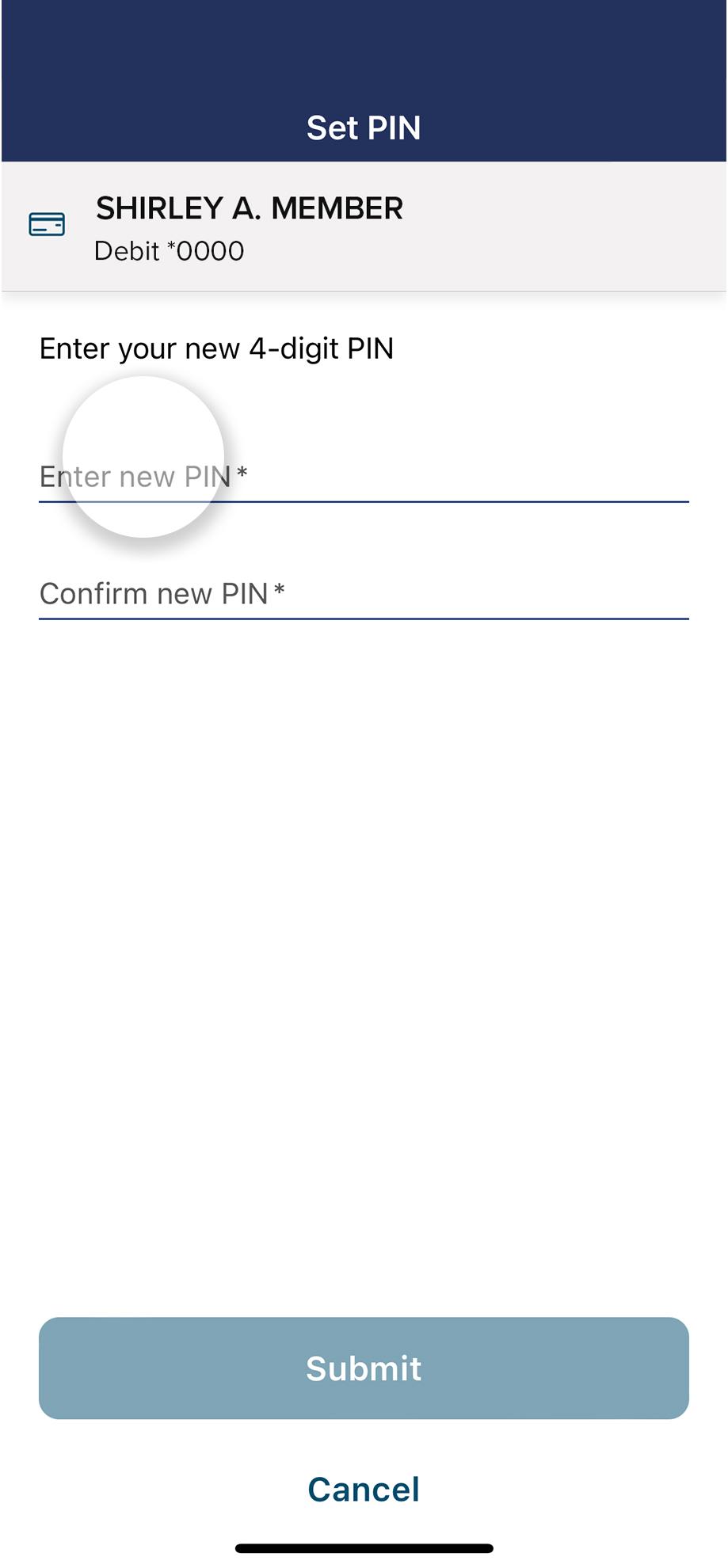 Civic app screen setting up new PIN number.