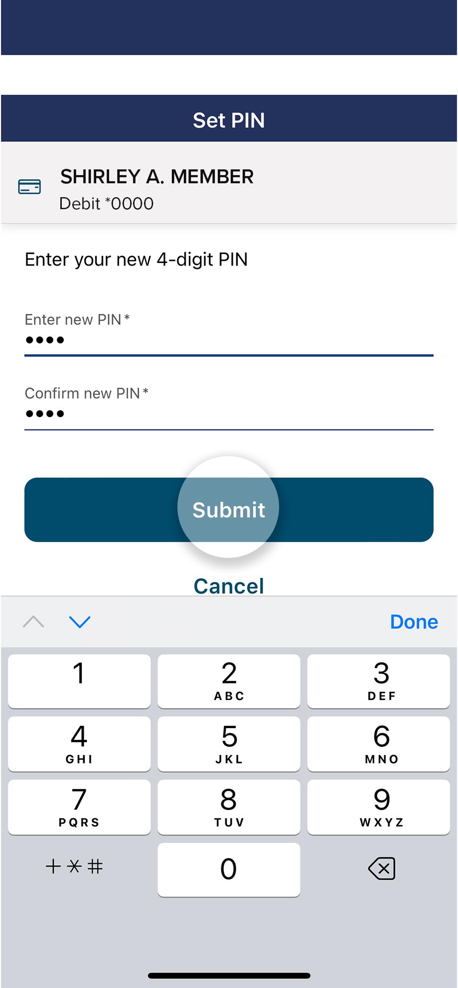 Civic app screen showing PIN entries.