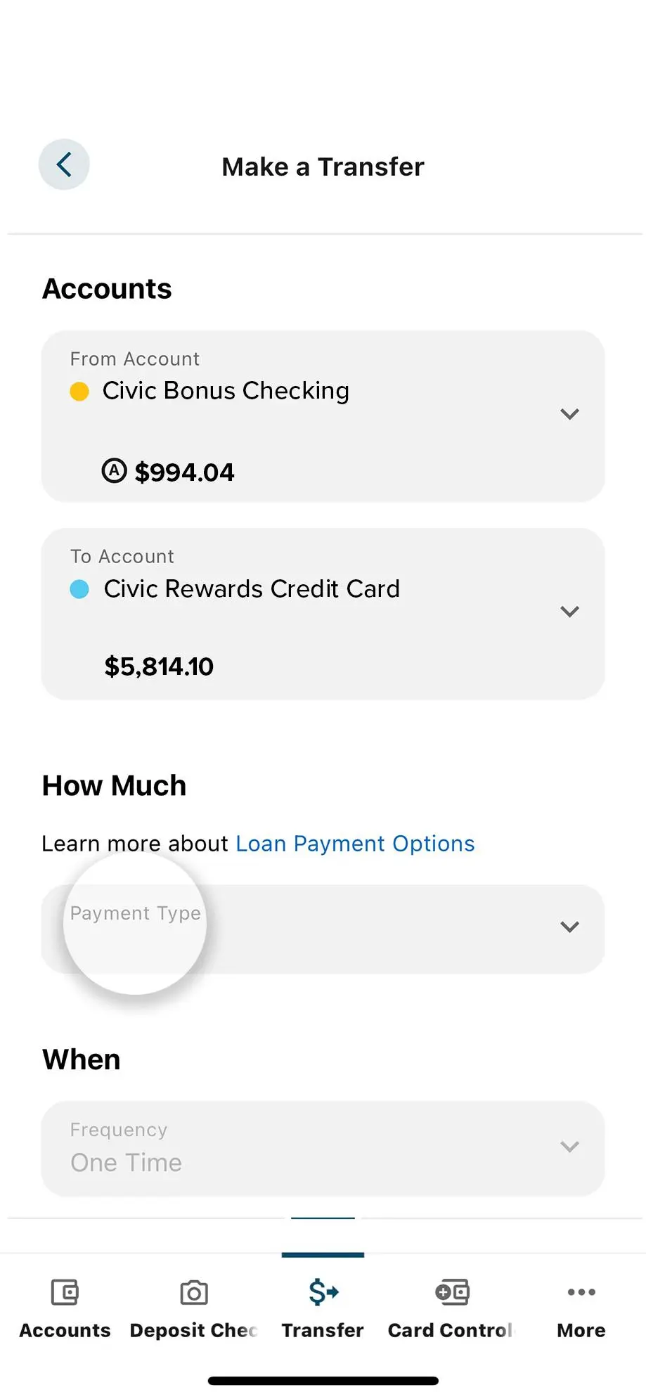 Civic app screen that highlights the selection of payment type.