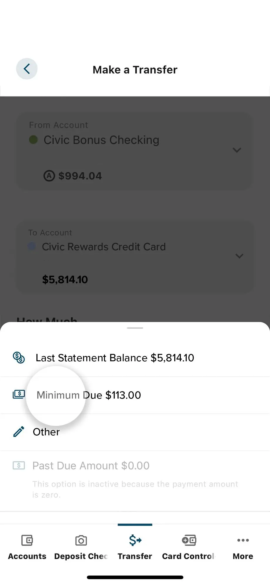 Civic app screen that highlights the selection of payment type.