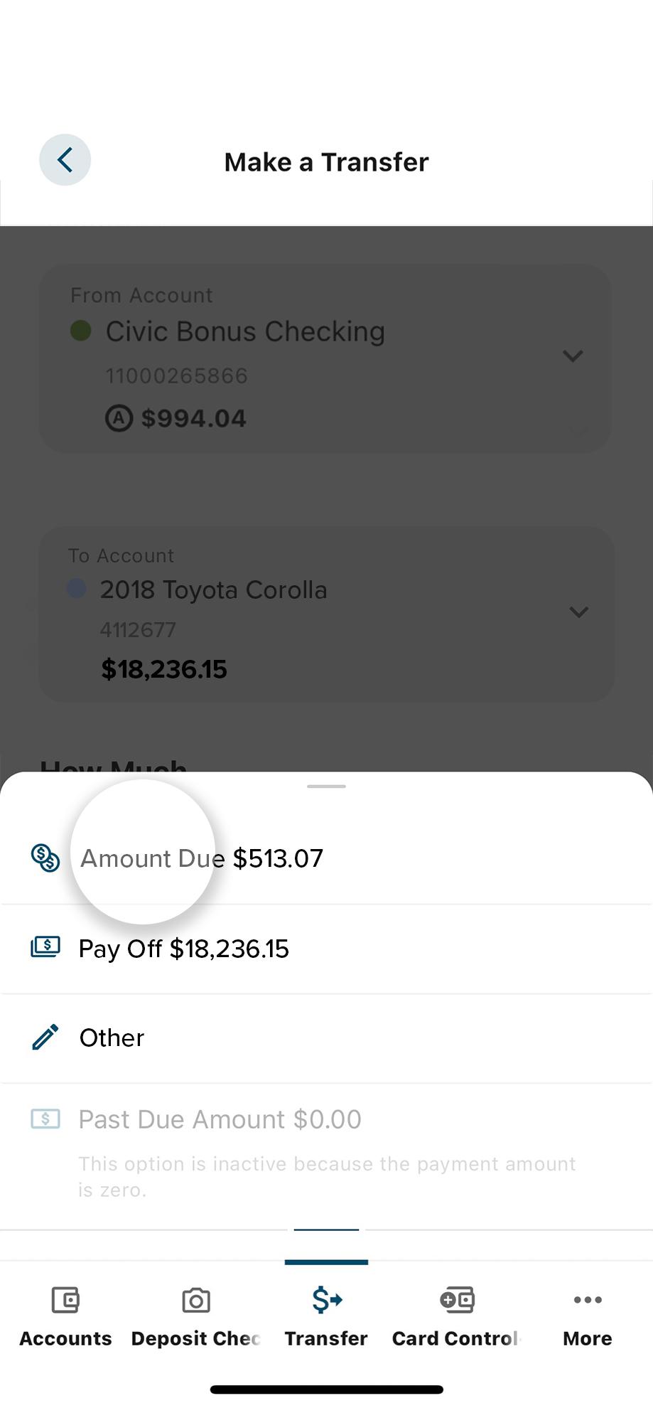 Civic app screen that highlights the selection of payment type.