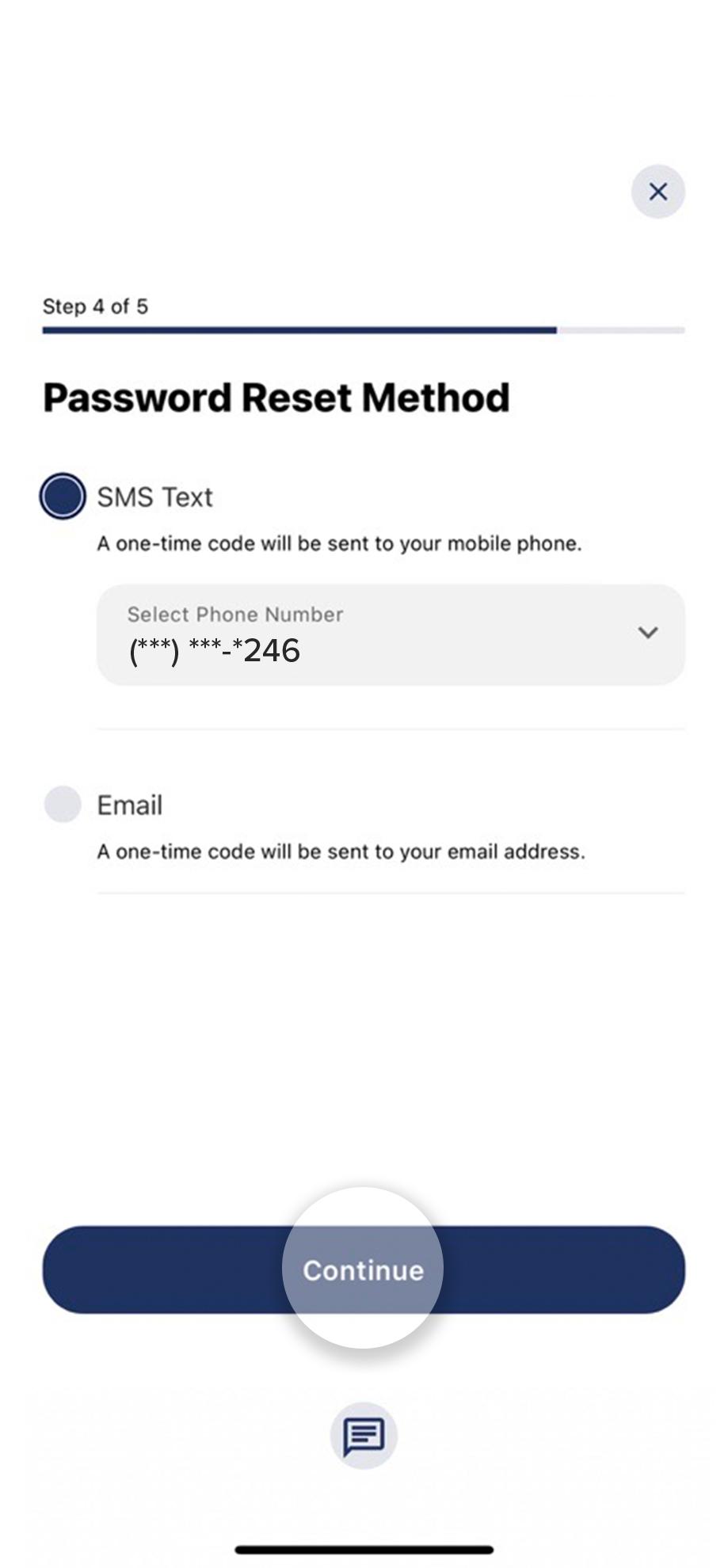Civic mobile app screen highlighting password reset methods.