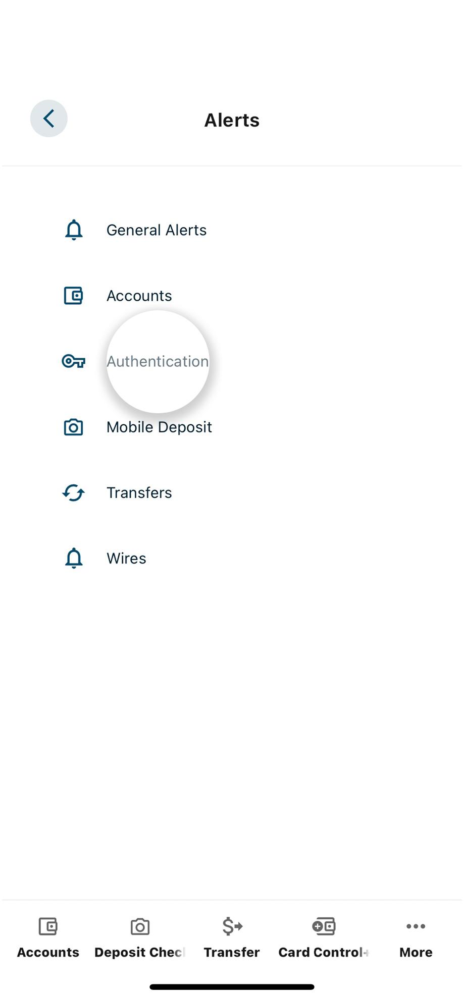 Civic app screen that shows categories for alerts.