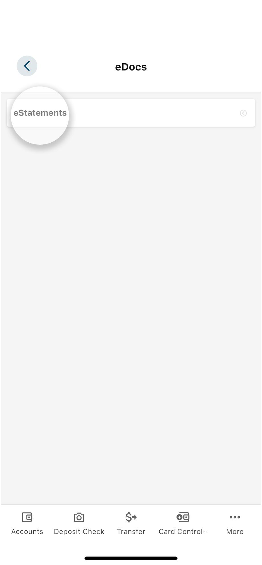 eStatements button highlighted inside the utility navigation.