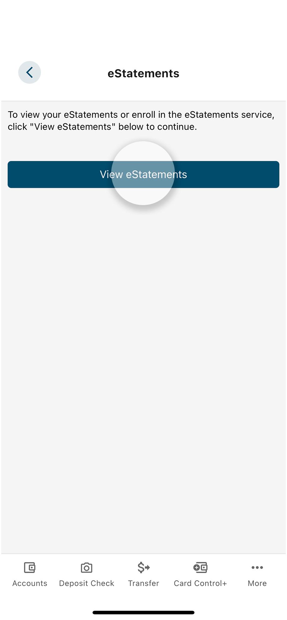 "View Statements" blue button highlighted.