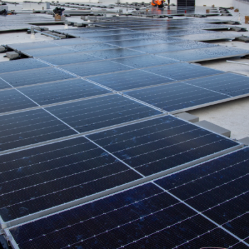 Shot of the solar array on Civic's headquarters.