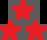 Civic Tri Star logo.