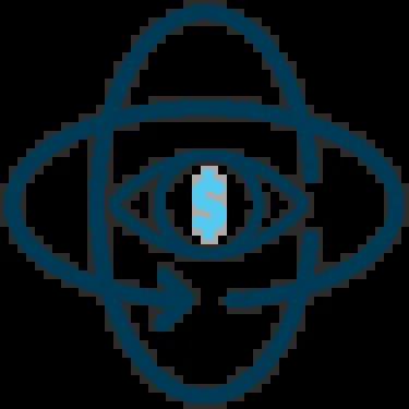 Account 360 degree view icon