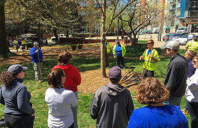 Foundation Community Board