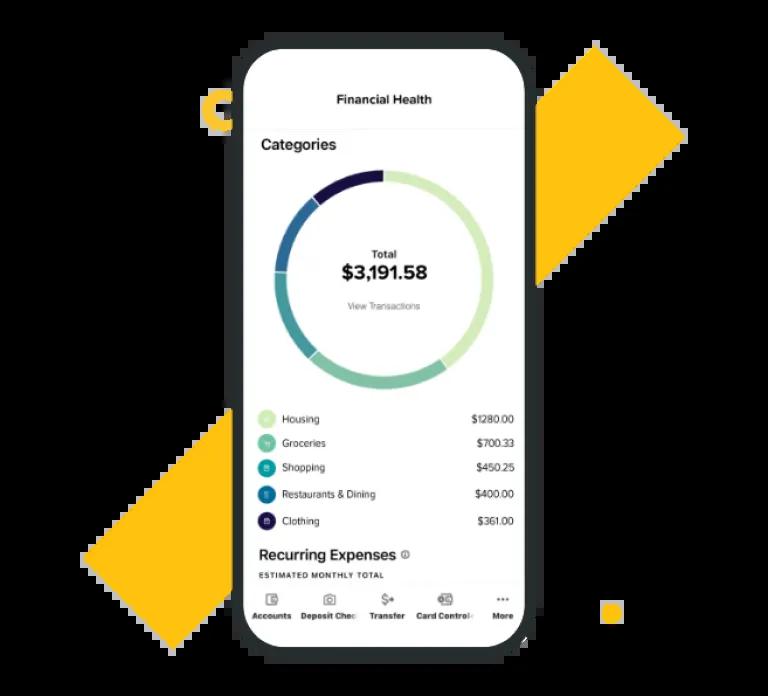Spending data insights and summary within the Civic mobile app.