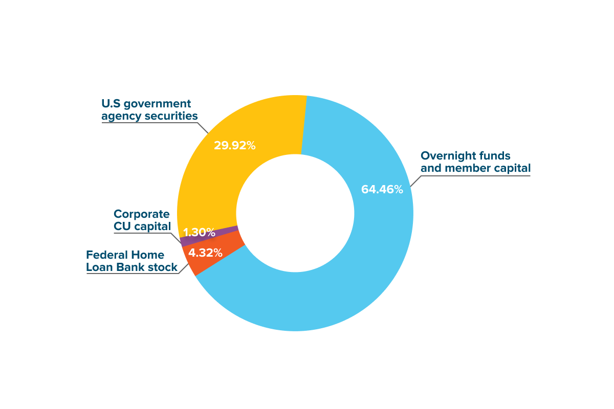 Pie chart of 2024 investment portfolio asset classes
