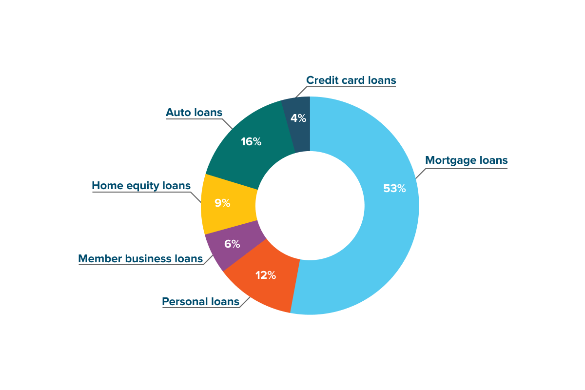 Pie chart of 2024 loan portfolio loan types